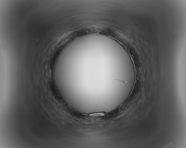 X0000086331061200704202037