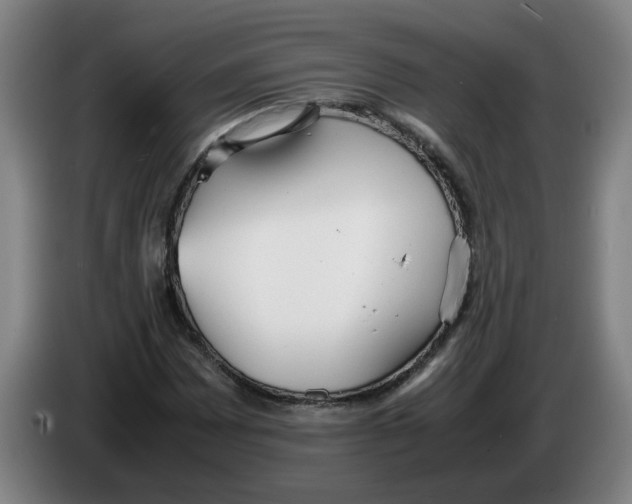 X0000086331065200704202037