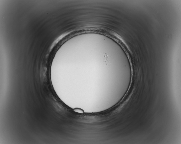 X0000086331066200704202037