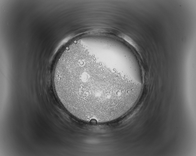 X0000086331067200704202037