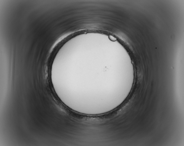 X0000086331070200704202037