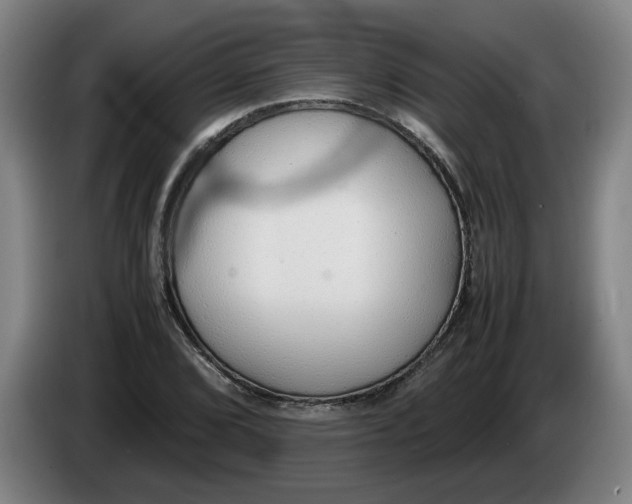 X0000086331072200704202037