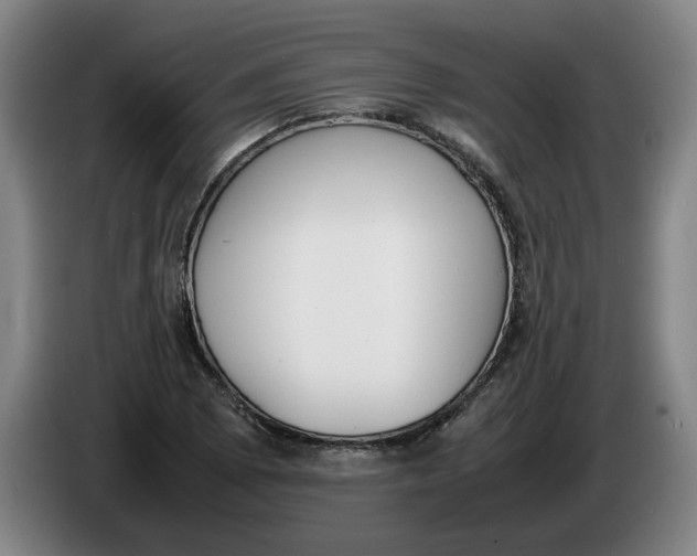 X0000086331073200704202037