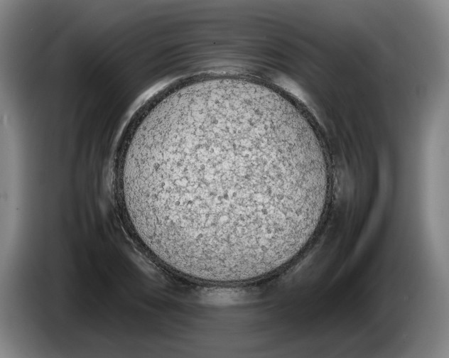 X0000086331074200704202037