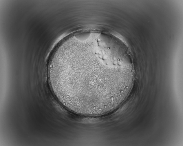 X0000086331075200704202037