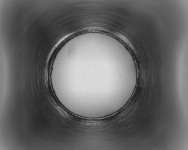 X0000086331076200704202037