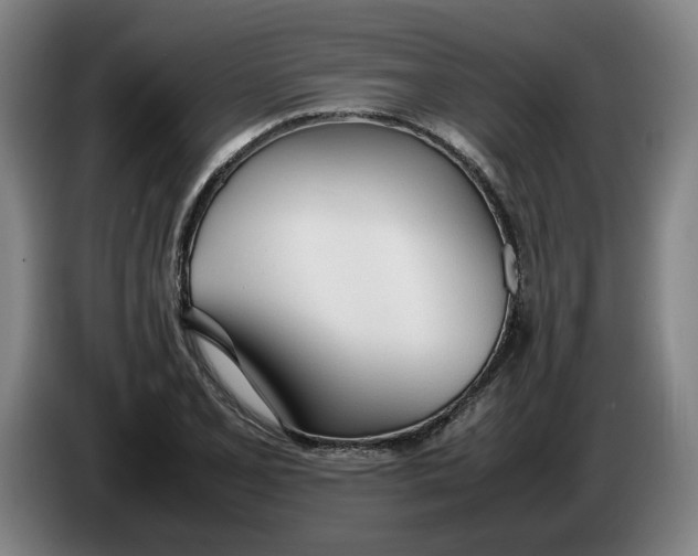 X0000086331077200704202037