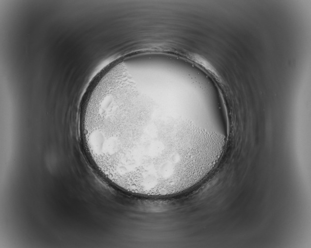 X0000086331079200704202037