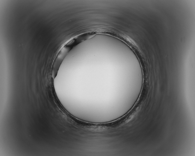 X0000086331081200704202037