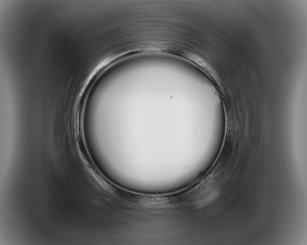 X0000086331083200704202037