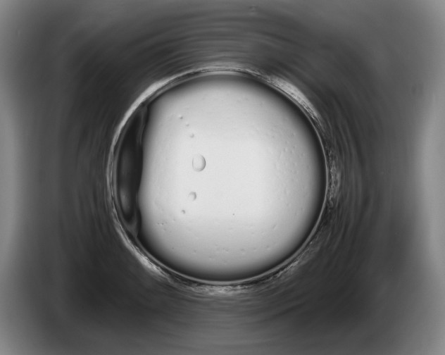 X0000086331084200704202037