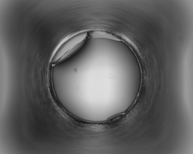 X0000086331085200704202037