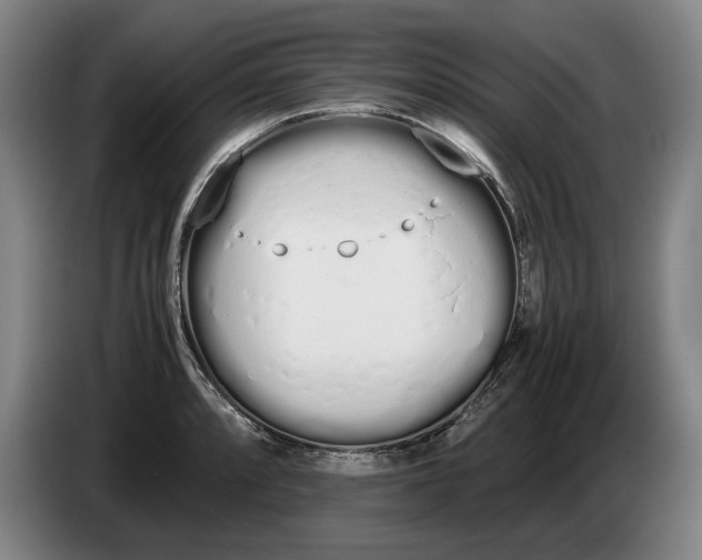 X0000086331088200704202037