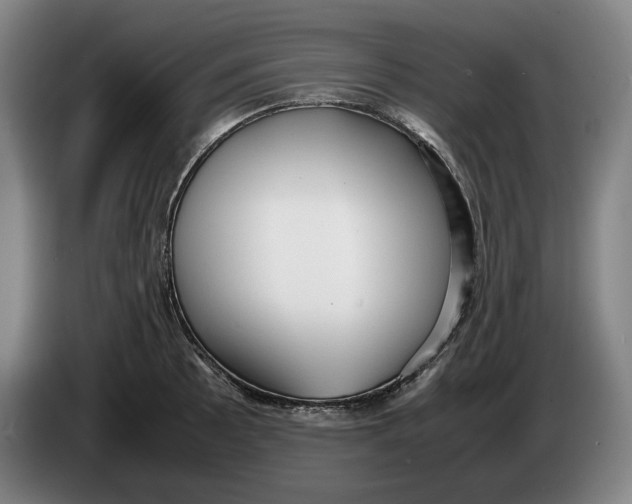 X0000086331089200704202037