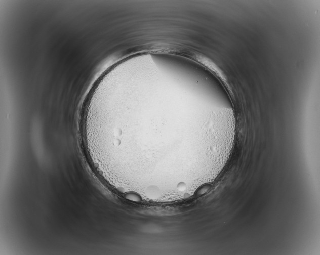 X0000086331091200704202037