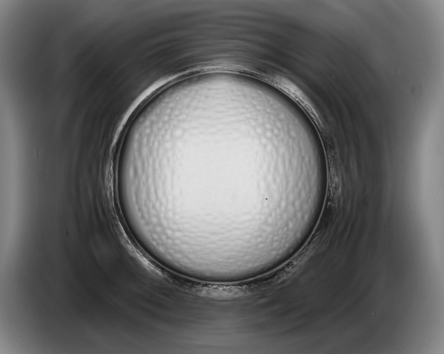 X0000086331092200704202037