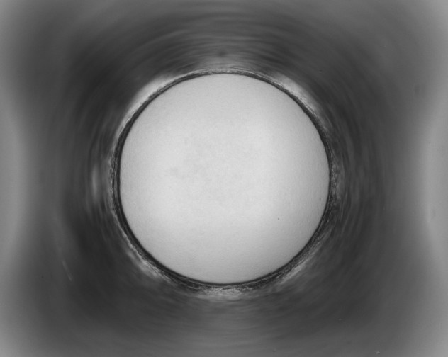 X0000086331094200704202036