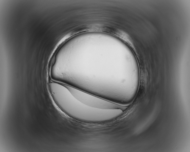 X0000086331095200704202036