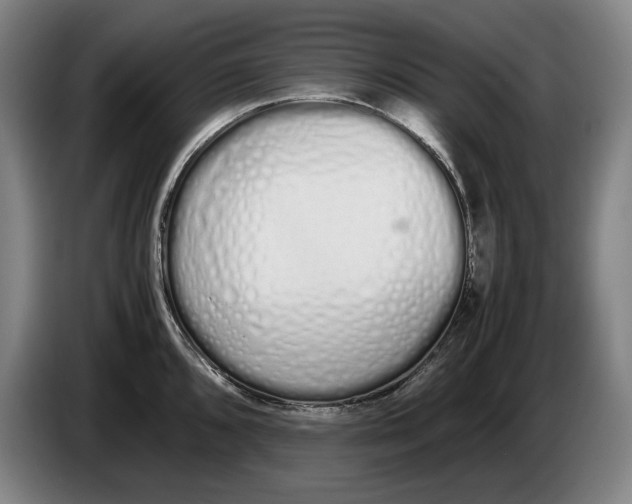 X0000086331096200704202036