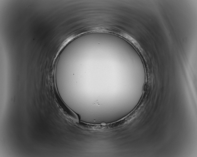 X0000086331097200704202036