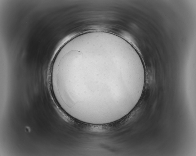 X0000086331098200704202036