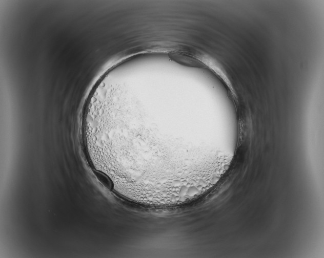 X0000086331099200704202036