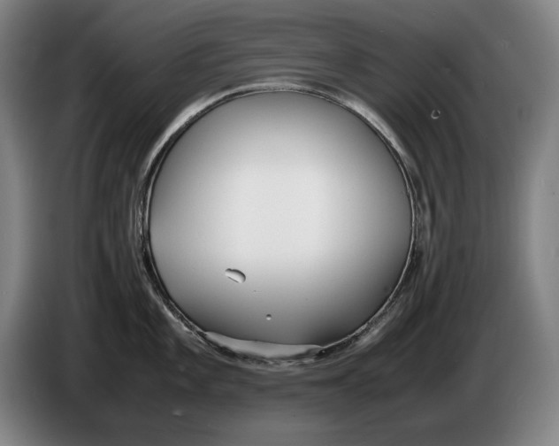 X0000086331101200704202036