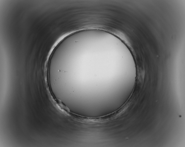 X0000086331102200704202036