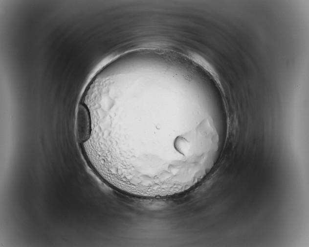 X0000086331103200704202036