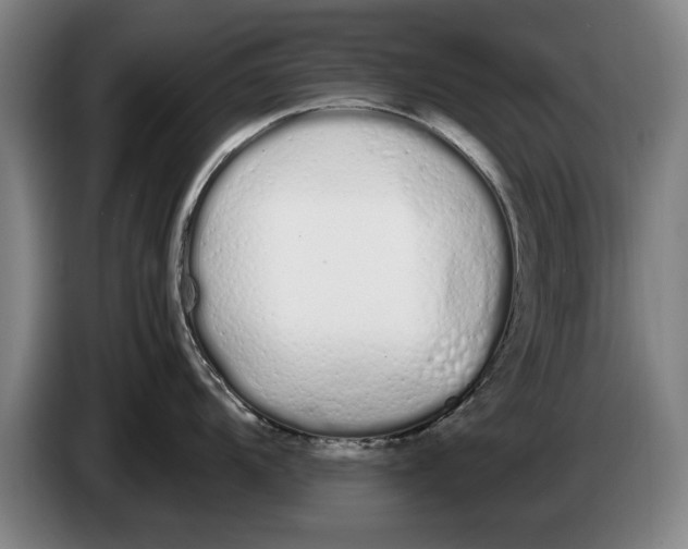 X0000086331104200704202036