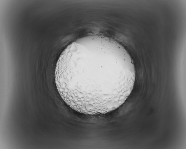 X0000086331105200704202036