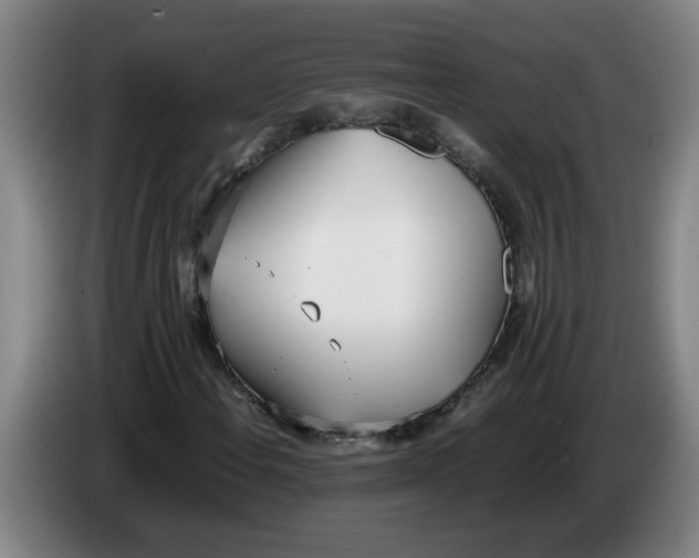 X0000086331108200704202036