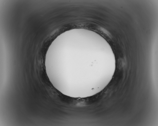 X0000086331111200704202036