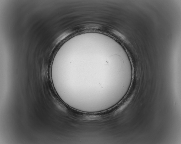 X0000086331113200704202036