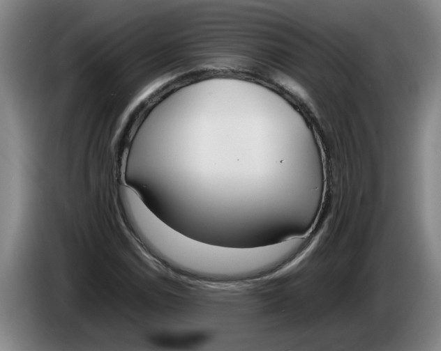 X0000086331114200704202036