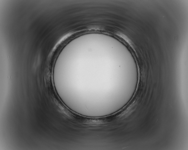 X0000086331115200704202036