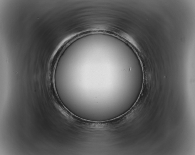 X0000086331116200704202036