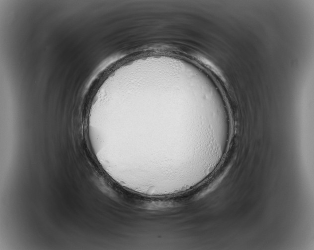 X0000086331117200704202036