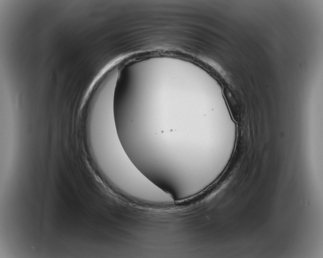 X0000086331118200704202036