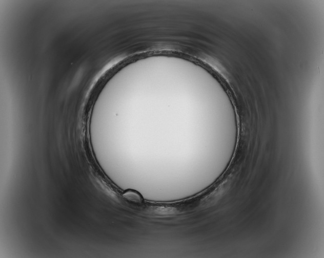 X0000086331119200704202036