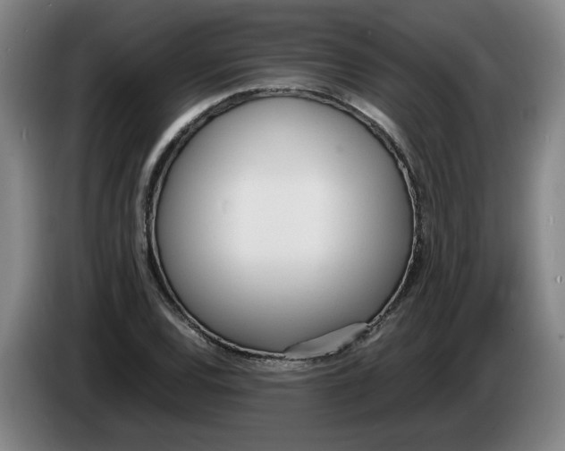 X0000086331120200704202036