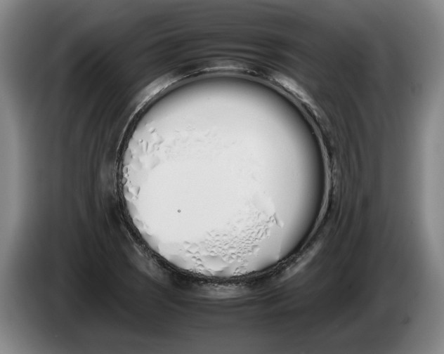 X0000086331121200704202036