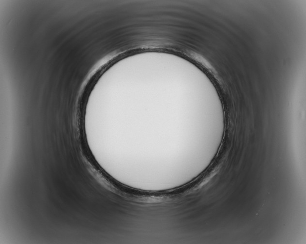 X0000086331122200704202036