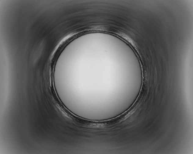 X0000086331123200704202036