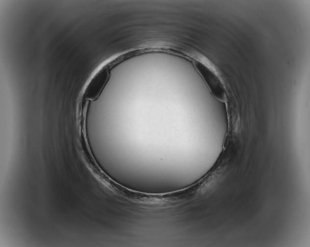 X0000086331124200704202036