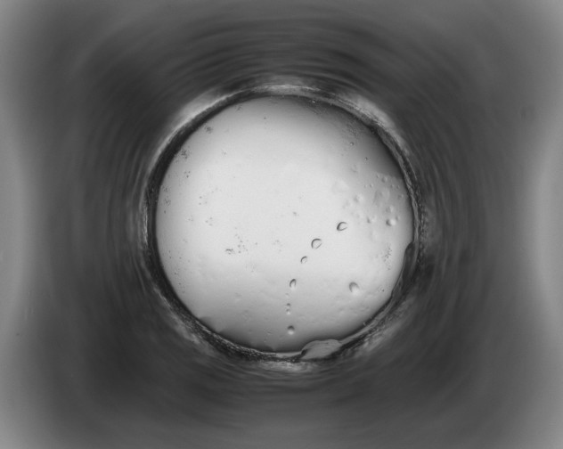 X0000086331125200704202036