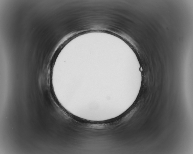 X0000086331126200704202036