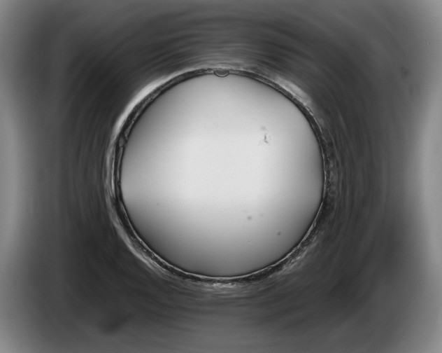 X0000086331128200704202036