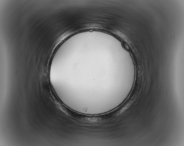 X0000086331129200704202036