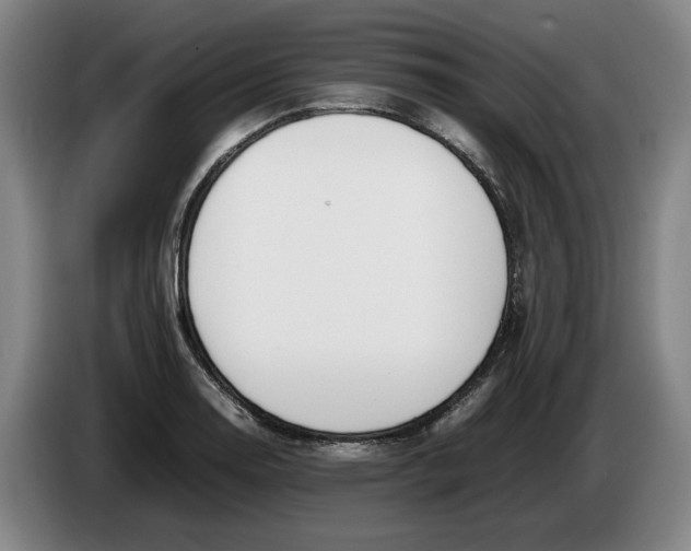 X0000086331130200704202036